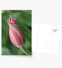 I Rest in Your Embrace Postcards