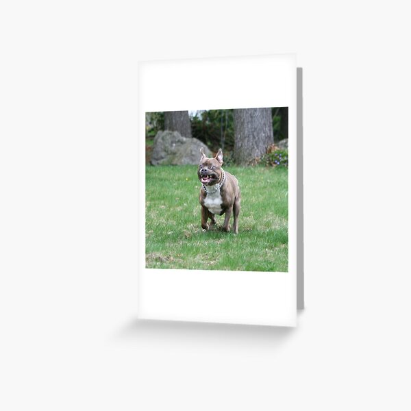 Funny Face Greeting Card