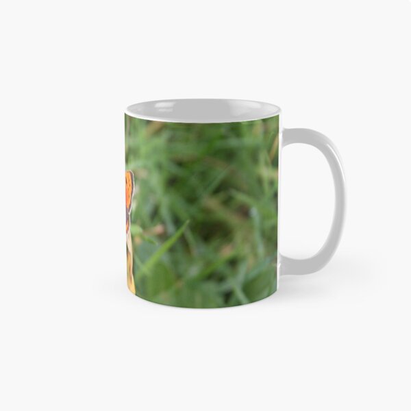 Item preview, Butterfly macro mid Wales  designed and sold by Digitaldegs.