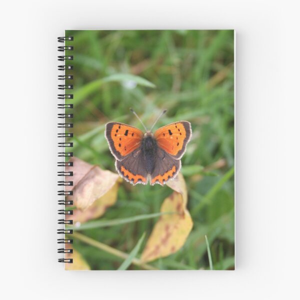 Item preview, Butterfly macro mid Wales  designed and sold by Digitaldegs.