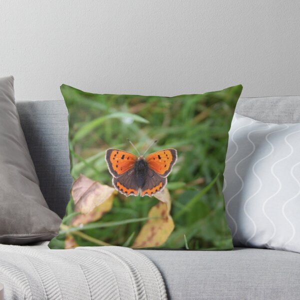 Item preview, Butterfly macro mid Wales  designed and sold by Digitaldegs.