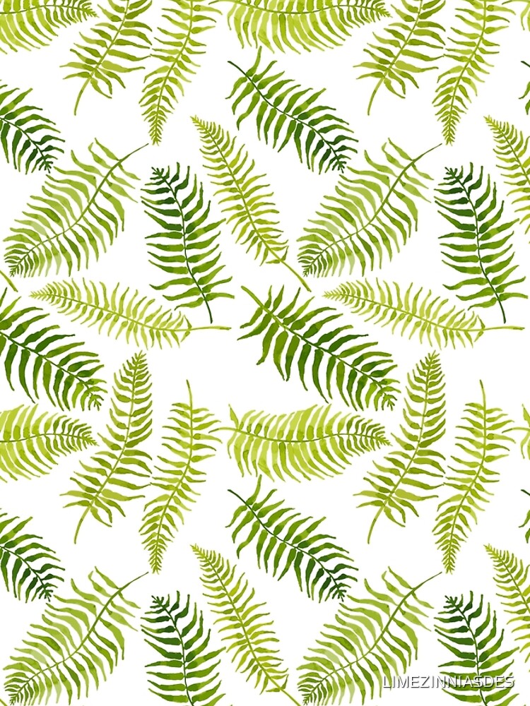 Fern Limelight by LIMEZINNIASDES