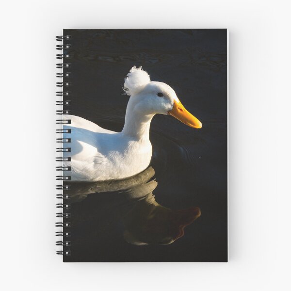 Item preview, Duck! designed and sold by clgcreativearts.