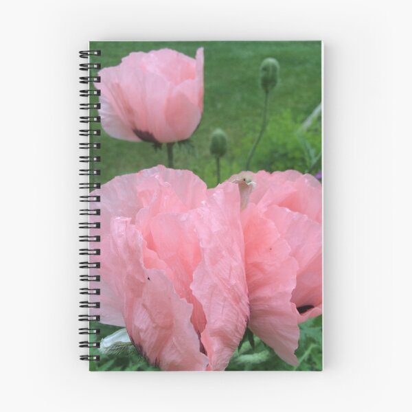 Item preview, Pink Poppies designed and sold by StarGardenGallery.