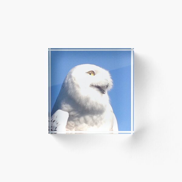 Item preview, Snowy Owl designed and sold by StarGardenGallery.