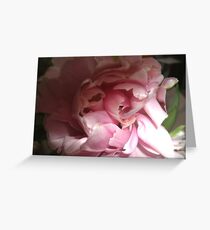 Parrot tulips Greeting Card