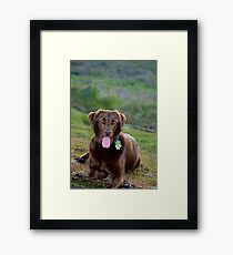 Pet portrait Framed Print