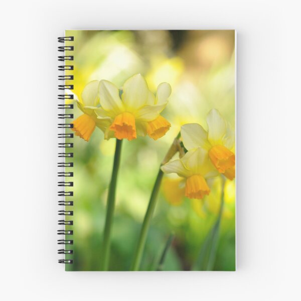 Item preview, Daffodils pt2 designed and sold by lisadw.