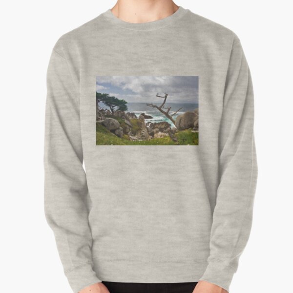 The Point of View Pullover Sweatshirt