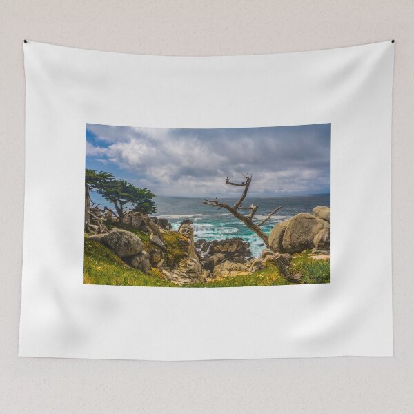 Item preview, Pescador Beach 17 Mile Drive Monterey California  designed and sold by photosbyflood.