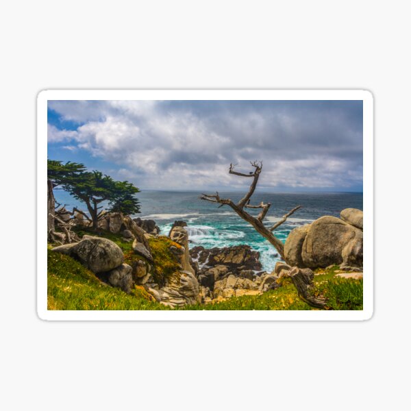 Pescador Beach 17 Mile Drive Monterey California Sticker