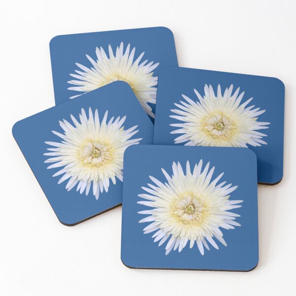 Item preview, White Gerbera on Blue designed and sold by STHogan2.