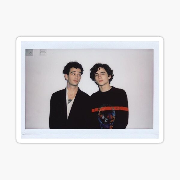 Matty Healy & Timothee Chalamet Sticker