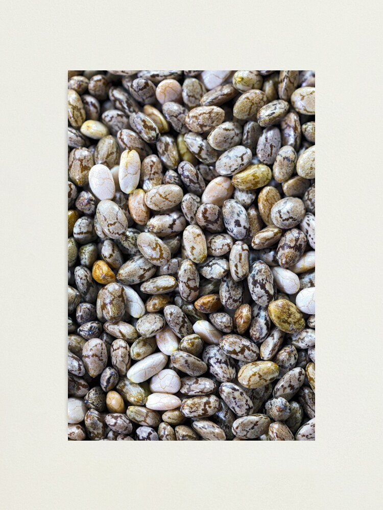 Alternate view of Black Chia seeds Photographic Print