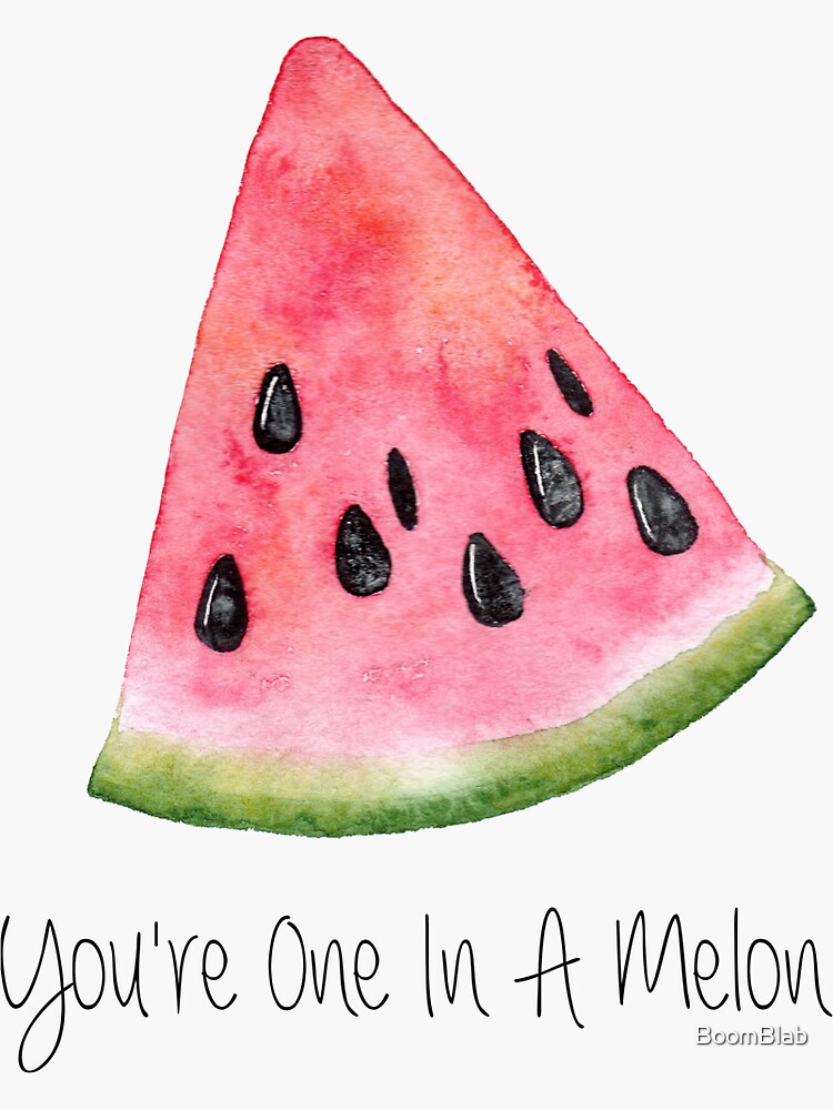 "You're one in a melon, watermelon puns, funny words, motivational
