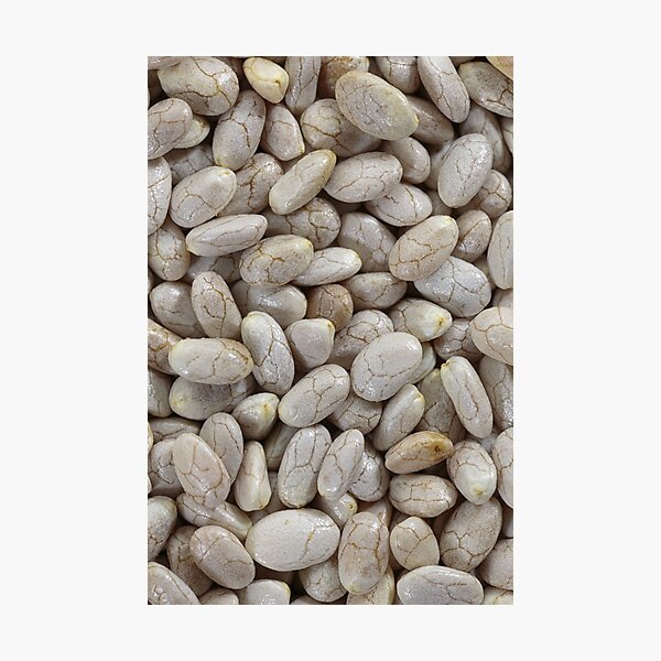 Chia seeds macro Photographic Print