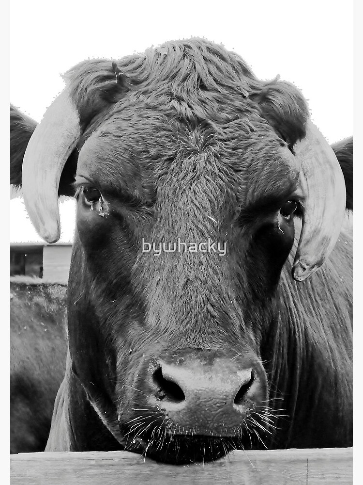 Thumbnail 3 of 3, Journal, Feeling a tad bullish designed and sold by bywhacky.