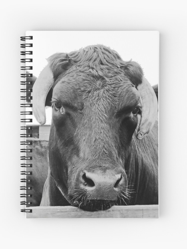 Thumbnail 1 of 3, Journal, Feeling a tad bullish designed and sold by bywhacky.