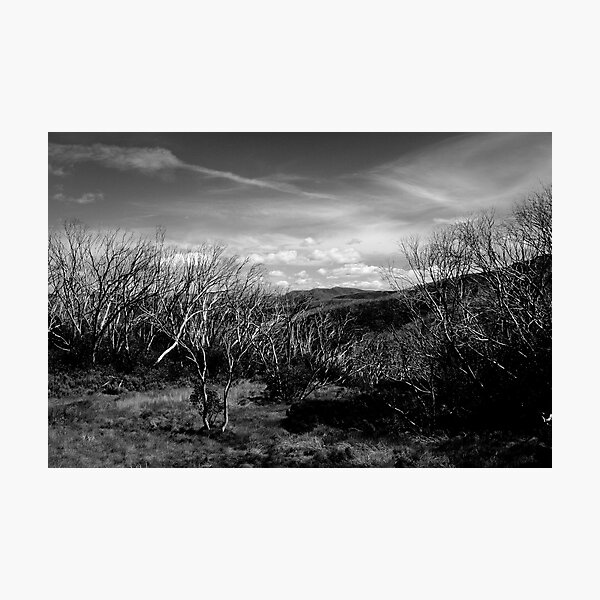 Item preview, Mt Hotham designed and sold by Judith Cahill.