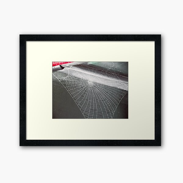 Web Framed Art Print