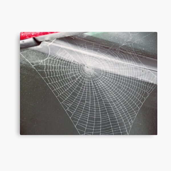 Web Metal Print