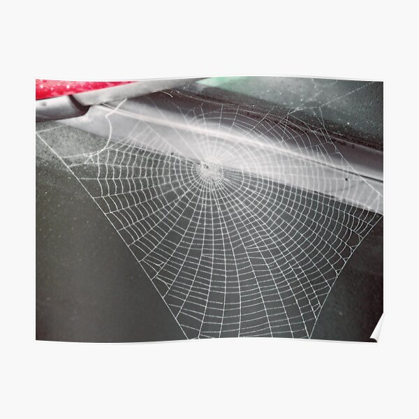 Web Poster