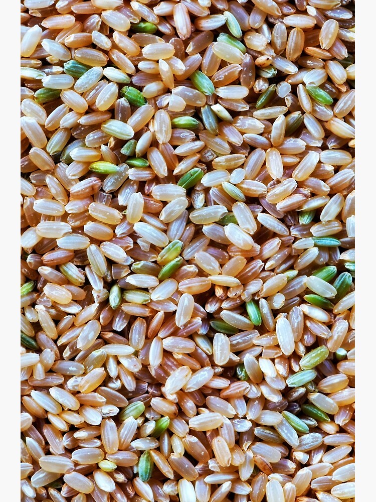 A macro photo of some brown rice by fardad