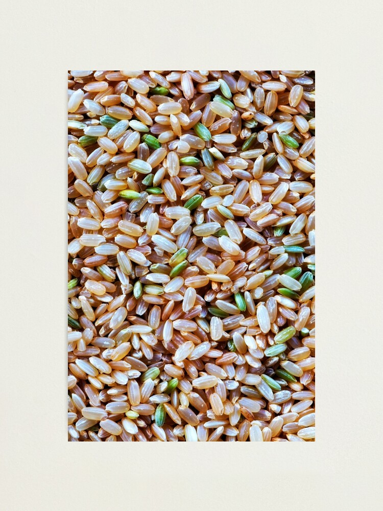 Alternate view of A macro photo of some brown rice Photographic Print