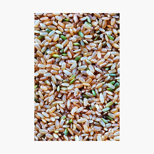 A macro photo of some brown rice Photographic Print