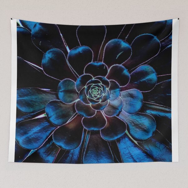 Item preview, Black Rose "Zwartkopf" Aeonium designed and sold by Len Bomba.