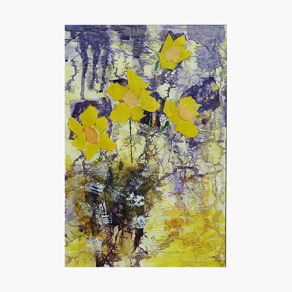 Daffodil time Photographic Print