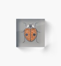 Ladybug - Orange Acrylic Block