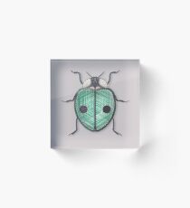 LadyBug - Green Emeraude Acrylic Block