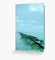 Trying to make sense of it all... Greeting Card