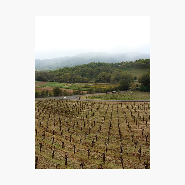 Item preview, Vineyard designed and sold by DavePlatt.
