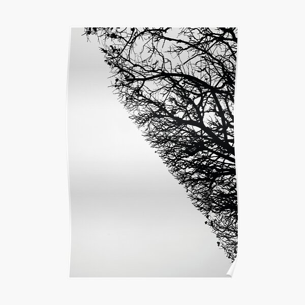 Arboressence#10 Poster