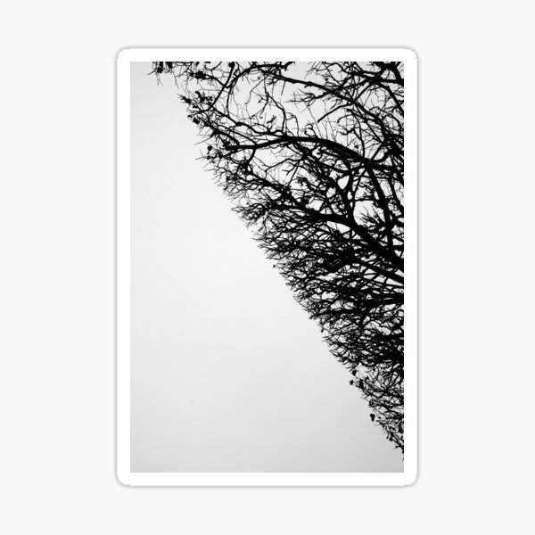 Arboressence#10 Sticker