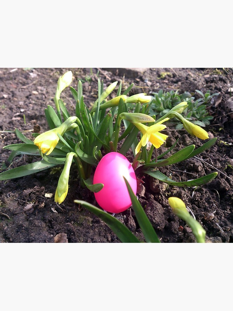 Osterei im Blumenbeet von Gourmetkater