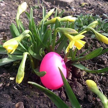Vorschaubild zum Design Osterei im Blumenbeet von Gourmetkater