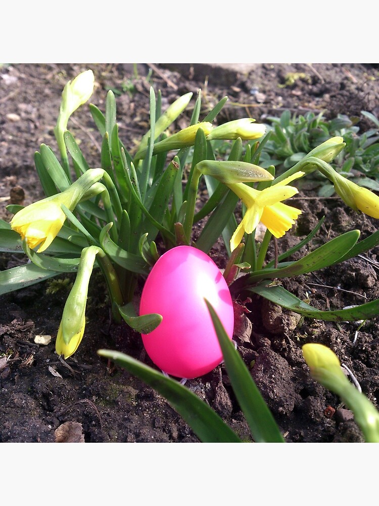 Osterei im Blumenbeet von Gourmetkater