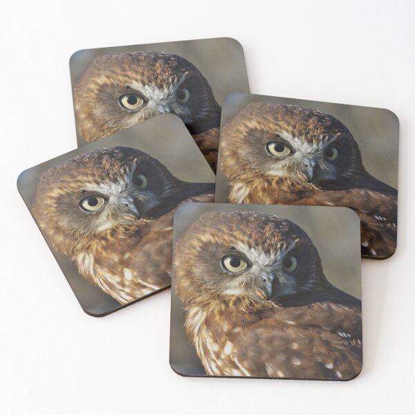 Item preview, Boobook owl designed and sold by derbyshireduck.