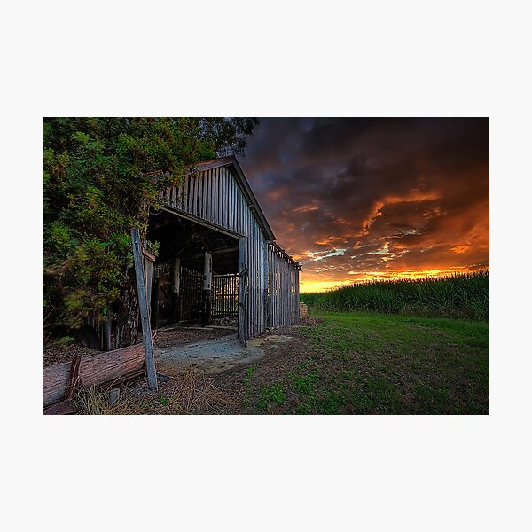 Item preview,  Qld designed and sold by Chris Lofqvist.