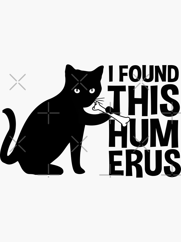 bg,f8f8f8-flat,750x,075,f-pad,