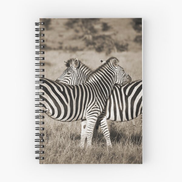 Item preview, Perfect Zebras designed and sold by Delphimages Art.