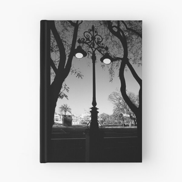 Item preview, Attracted  by the light. designed and sold by Paul Pasco.