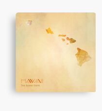 Hawaii Metal Print
