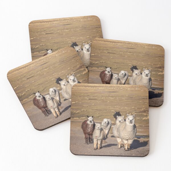 Item preview, Alpacas in Bolivia designed and sold by Delphimages Art.