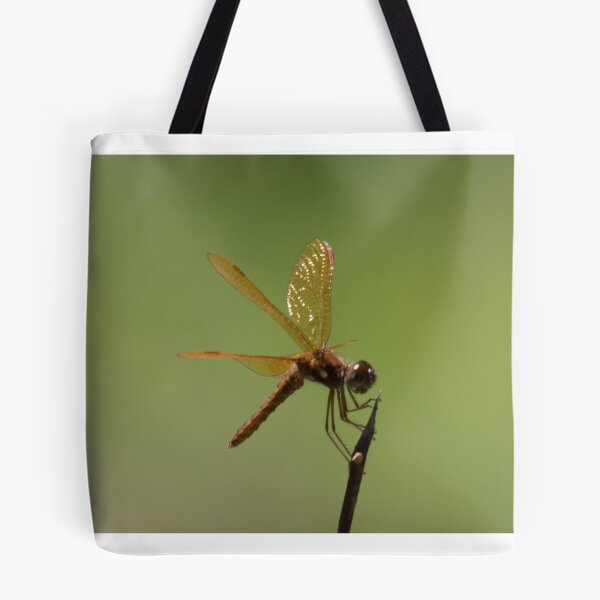 Item preview, Eastern Amberwing designed and sold by Mark Rosenstein.