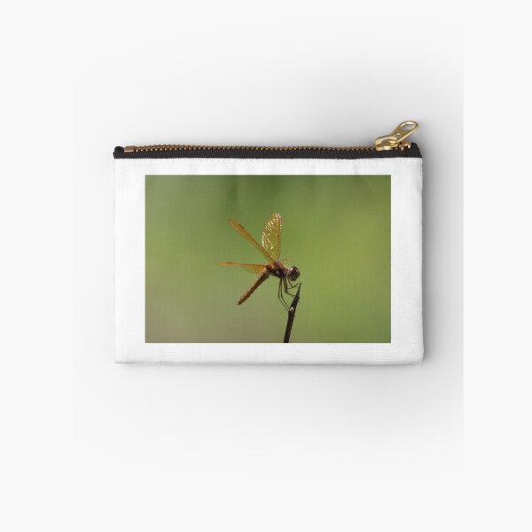 Item preview, Eastern Amberwing designed and sold by Mark Rosenstein.
