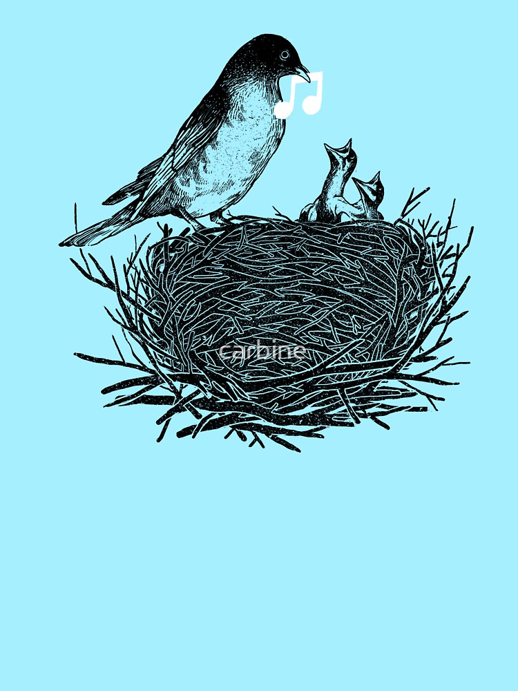 Feed the Birds by carbine